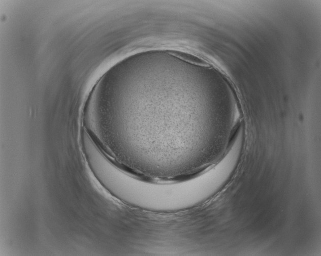 X0000055991528200509021625