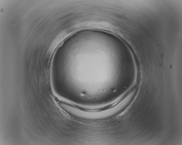 X0000055991529200509021625