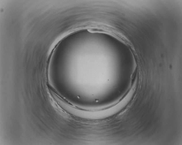 X0000055991530200509021625