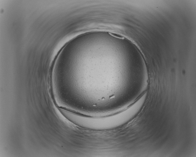 X0000055991531200509021625