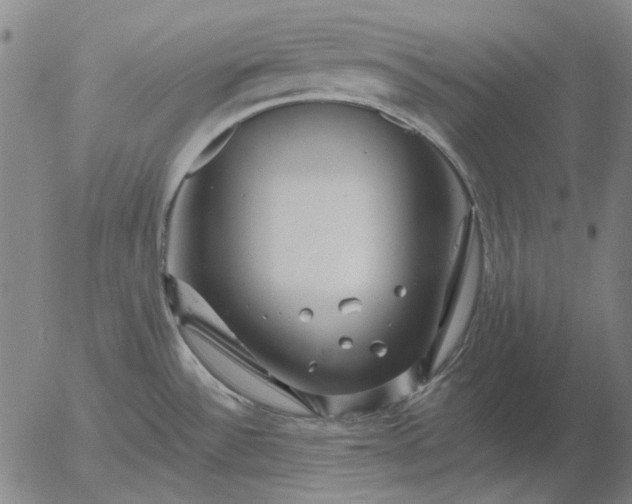 X0000055991532200509021625