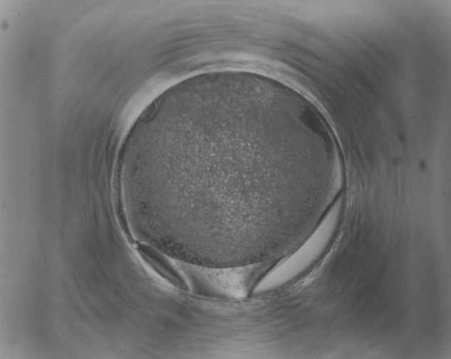 X0000055991533200509021625