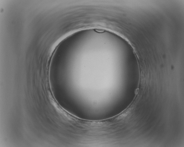 X0000055991534200509021625