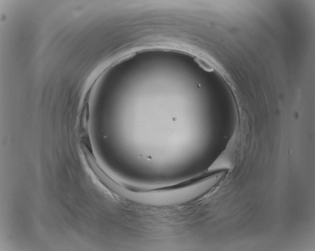 X0000055991536200509021625