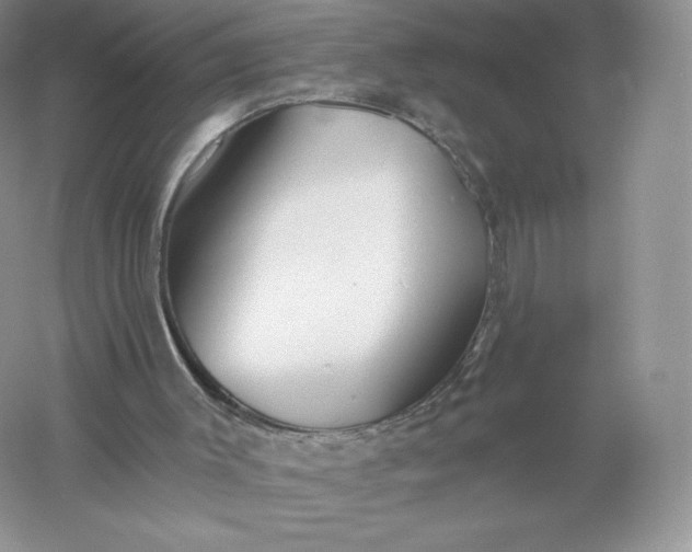 X0000055990003200509092032