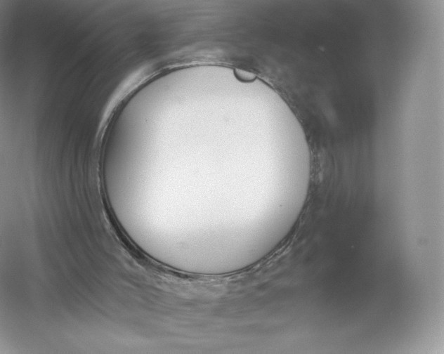 X0000055990004200509092032