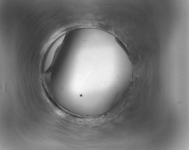 X0000055990005200509092032