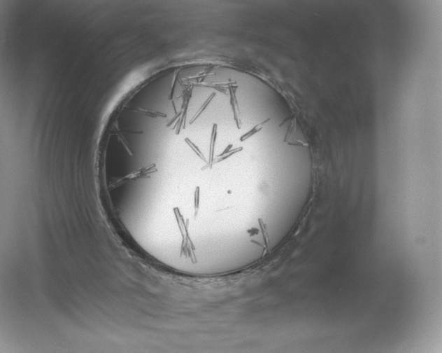 X0000055990006200509092032