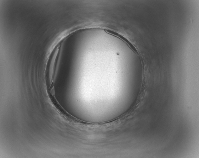 X0000055990007200509092032