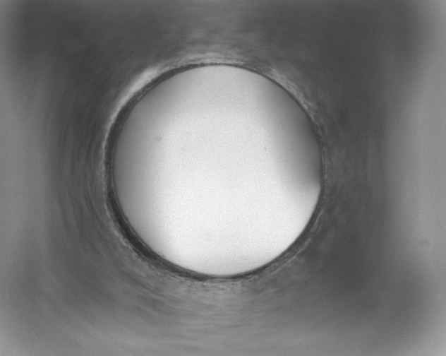 X0000055990008200509092032