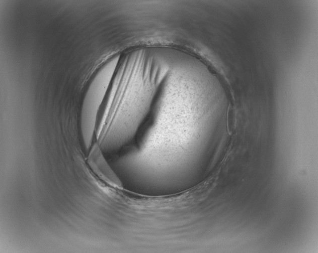 X0000055990009200509092032