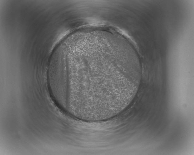 X0000055990010200509092032