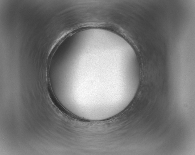 X0000055990011200509092031