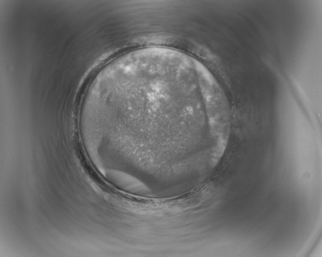 X0000055990012200509092031