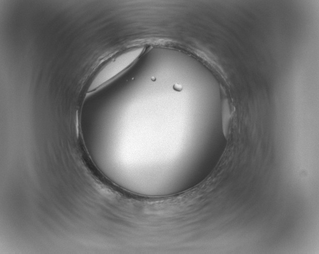 X0000055990013200509092031