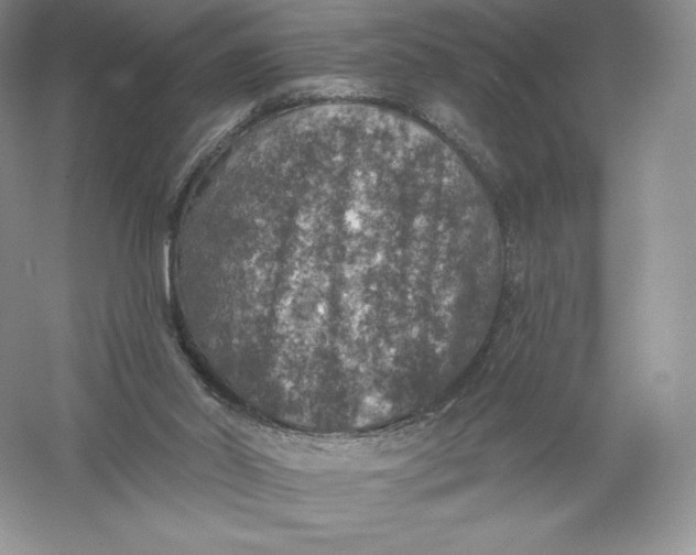 X0000055990014200509092031