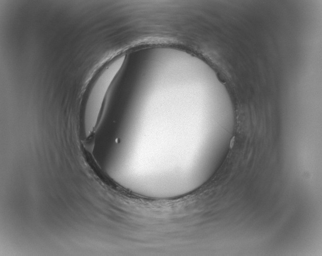 X0000055990015200509092031