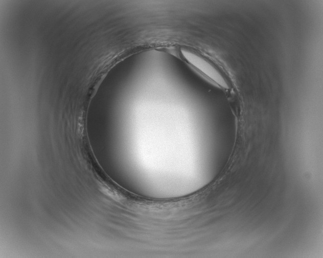 X0000055990017200509092031