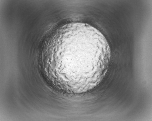 X0000055990018200509092031