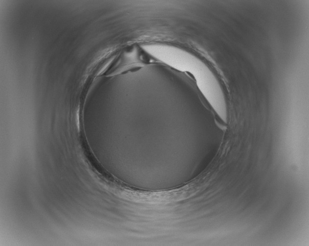 X0000055990019200509092031