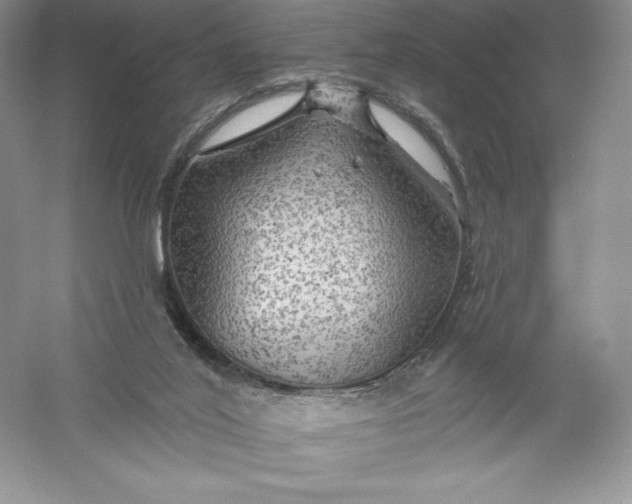 X0000055990020200509092031