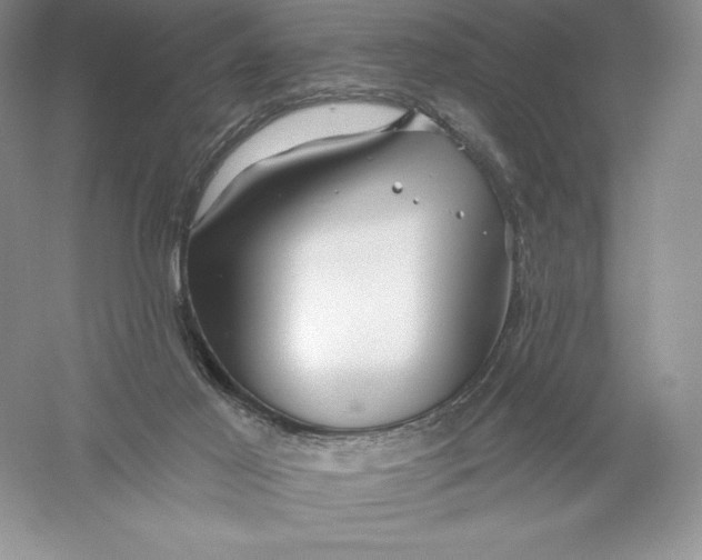 X0000055990021200509092031