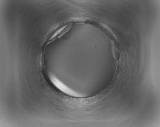 X0000055990023200509092031