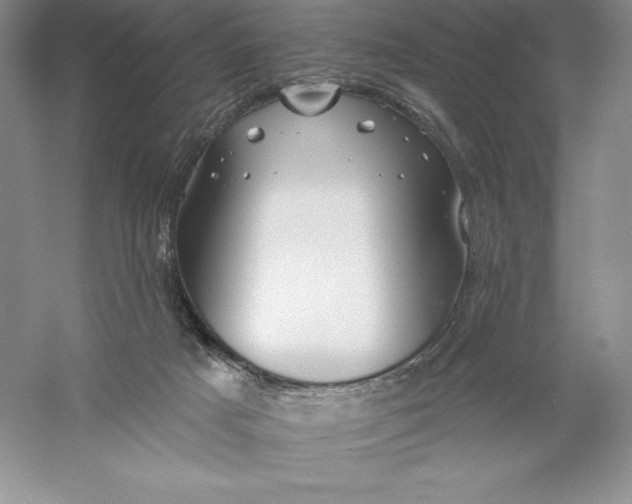 X0000055990025200509092031