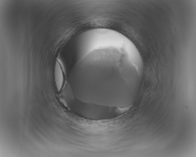 X0000055990027200509092031