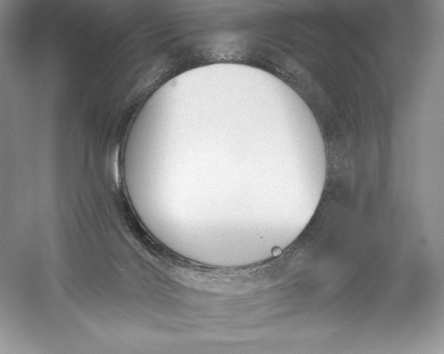 X0000055990028200509092031