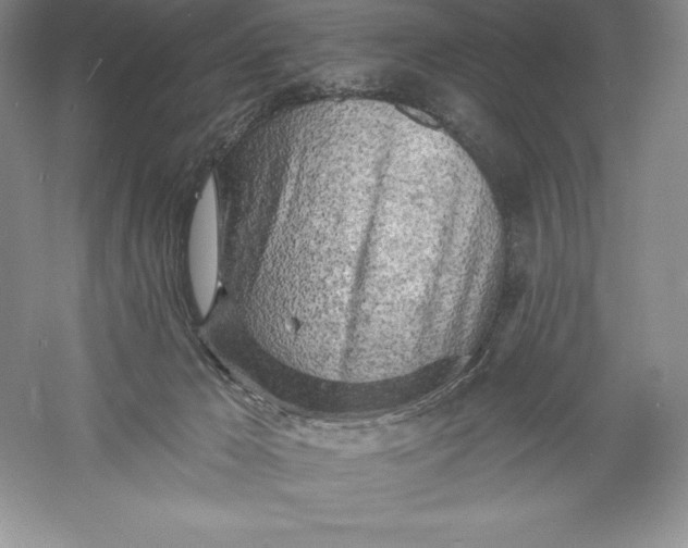 X0000055990029200509092031