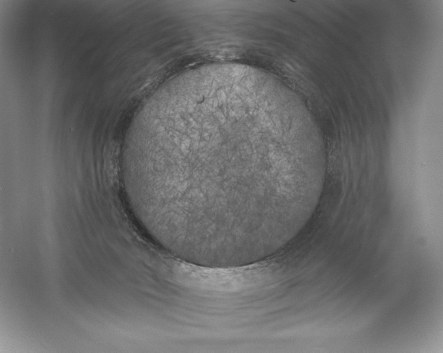 X0000055990030200509092031