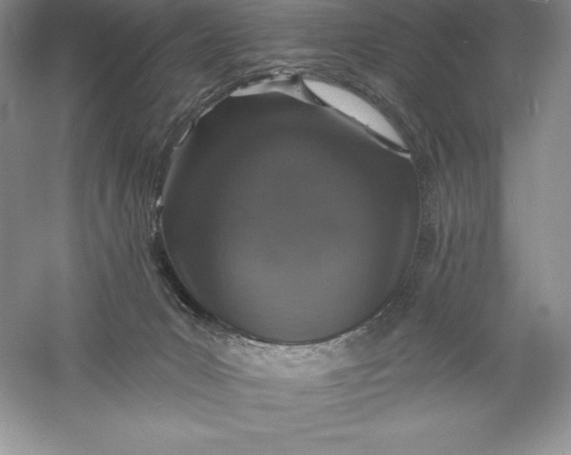 X0000055990031200509092031