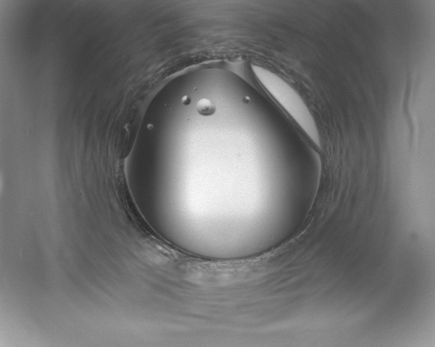 X0000055990033200509092031