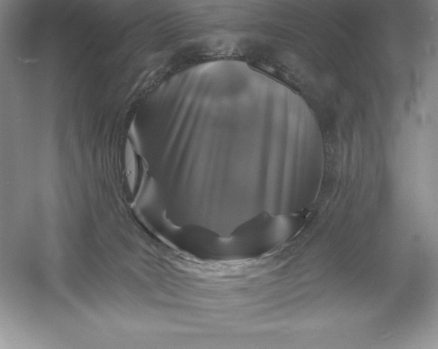 X0000055990035200509092031