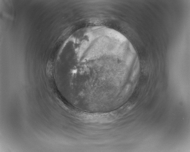 X0000055990036200509092031