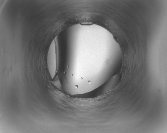 X0000055990037200509092031