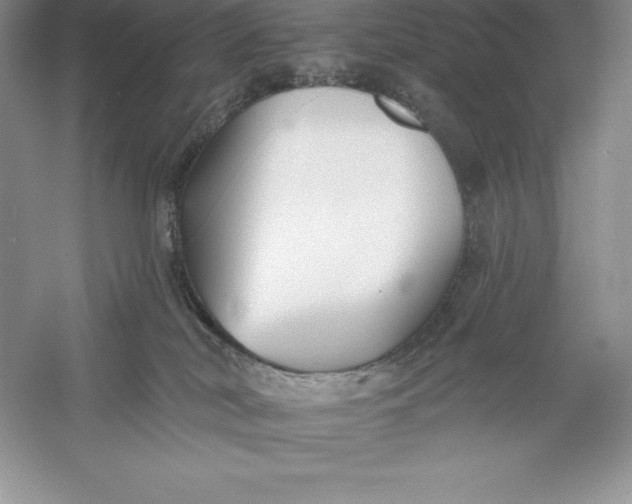 X0000055990038200509092031