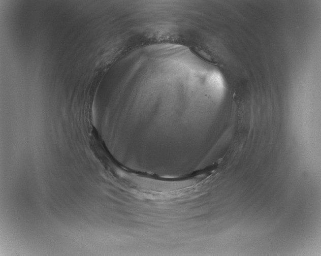 X0000055990039200509092031