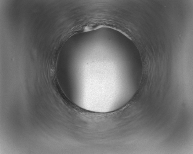 X0000055990040200509092031