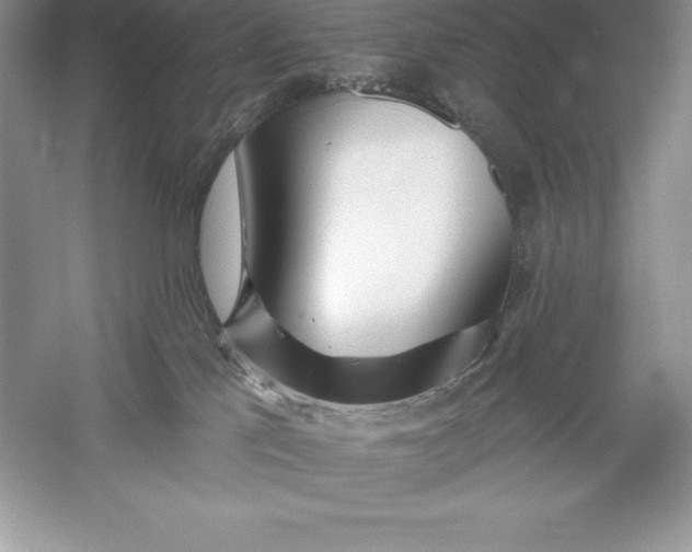 X0000055990041200509092031