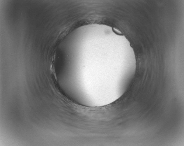 X0000055990042200509092031