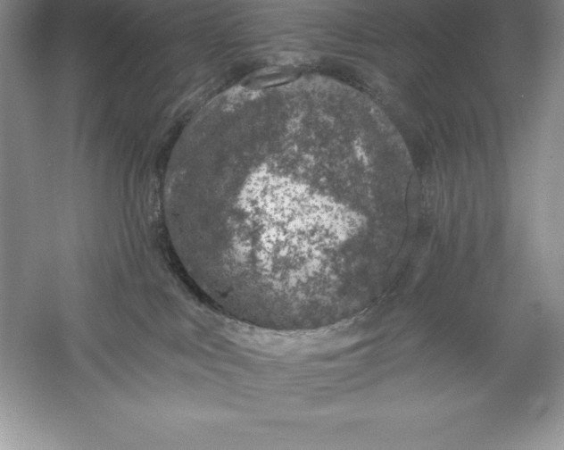 X0000055990043200509092031