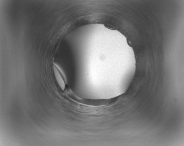 X0000055990044200509092031