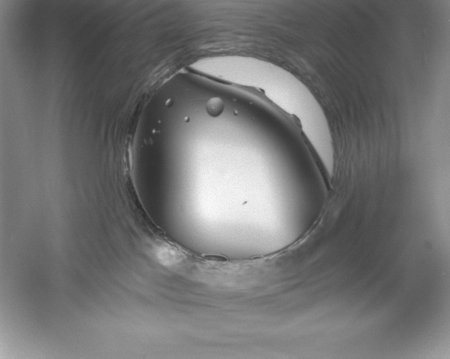 X0000055990045200509092031