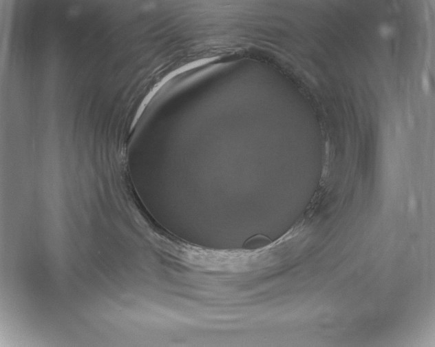 X0000055990048200509092031