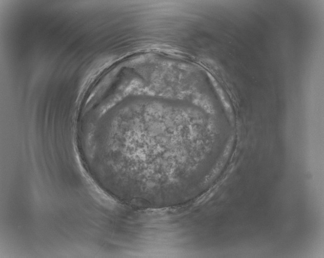 X0000055990049200509092030