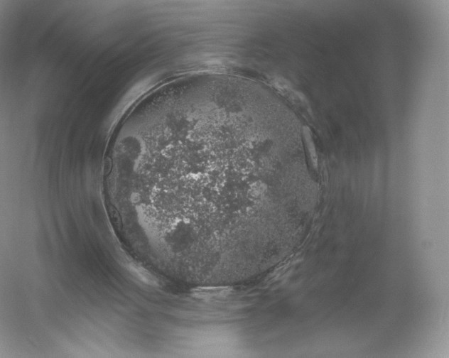 X0000055990051200509092030