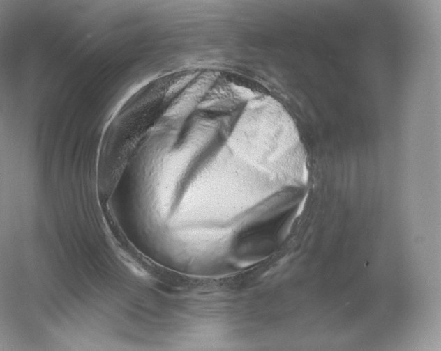 X0000055990052200509092030