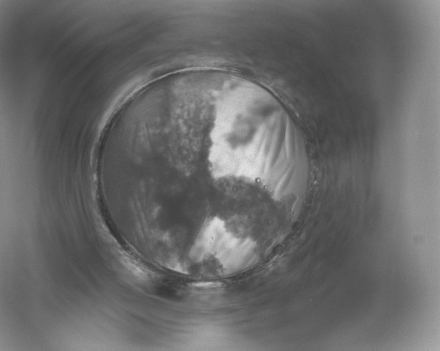 X0000055990053200509092030